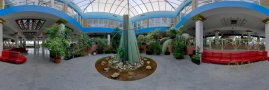 Atrium