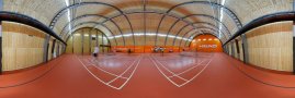 Badminton