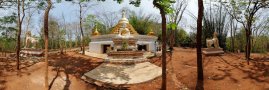 Buddha v džungli