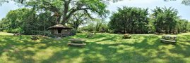 Park