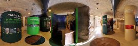Expozice I.