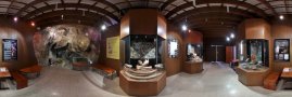 Expozice