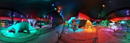 Prehistoric Park