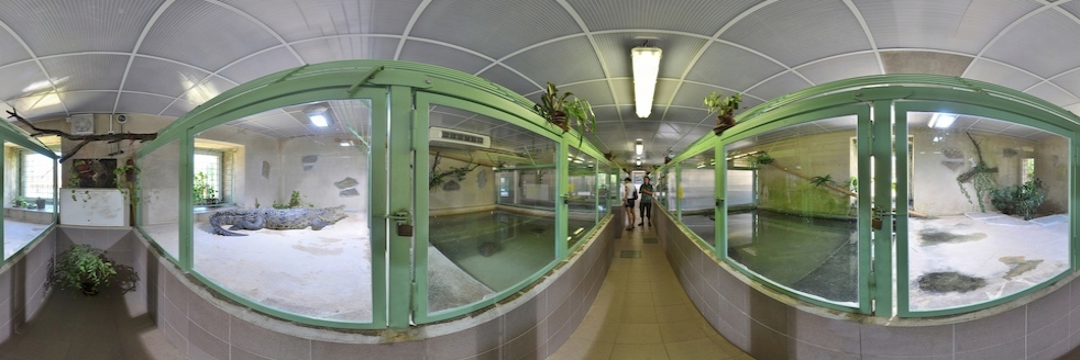Krokodýlí ZOO Protivín