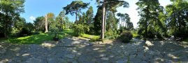 Dřeviny