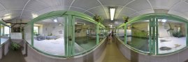 Krokodýlí ZOO Protivín