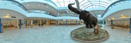 Mamut