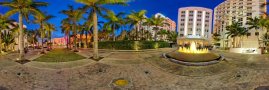 Royal Palm