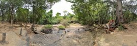 Lingam myriády