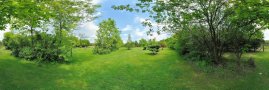 Arboretum